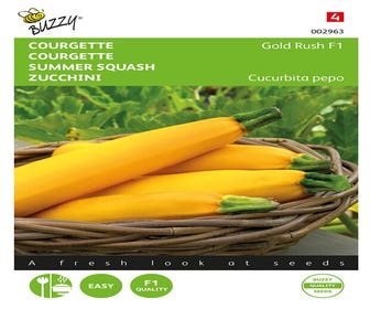 Courgette Gold Rush F1