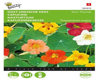 Oost-Indische kers Tom Thumb gemengd