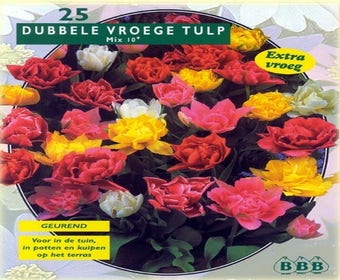 Tulp (Tulp 'Dubbel Mix')