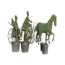 2-horse carriage, coachman and passengers (Ligustrum delavayanum)