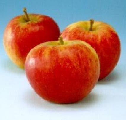 Groninger kroon appel