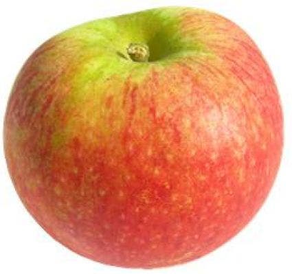 Appel