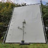 Appelboom (Malus domestica 'Brambley's seedling') Bio