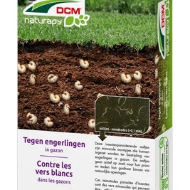Aaltjes tegen engerlingen (DCM Heteri-Guard®)