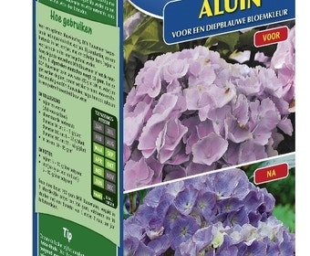 DCM Blauwmaker Hortensia's - Aluin