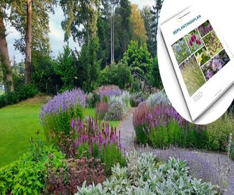Beplantingsplan op maat