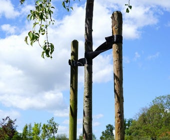 Boompalenset 250cm lengte (2 palen incl. band en nagels!)