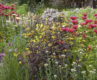 Borderpakket Rood en Geel (3 M²)