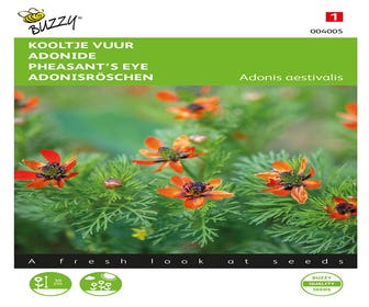 Kooltjevuur (Adonis aestivalis 'roodbloeiend')