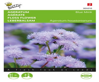 Leverbalsem (Ageratum houstonianum 'Blue Mink')