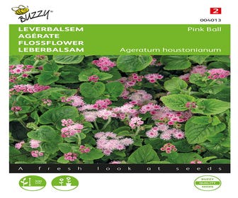 Leverbalsem (Ageratum houstonianum 'Pink Ball')