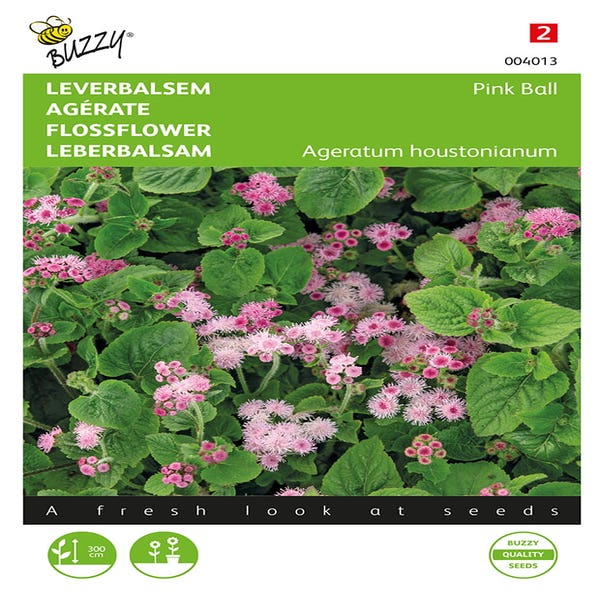 Leverbalsem (Ageratum houstonianum 'Pink Ball')