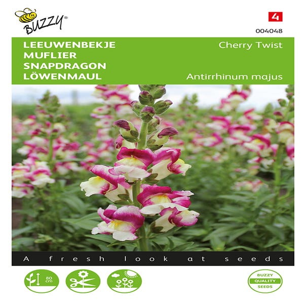Leeuwenbekje (Antirrhinum majus 'Cherry Twist')