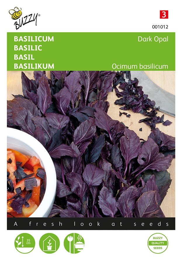 Basilicum