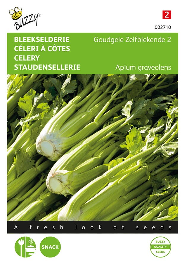 Bleekselderij 'Goudgele Zelfblekende'