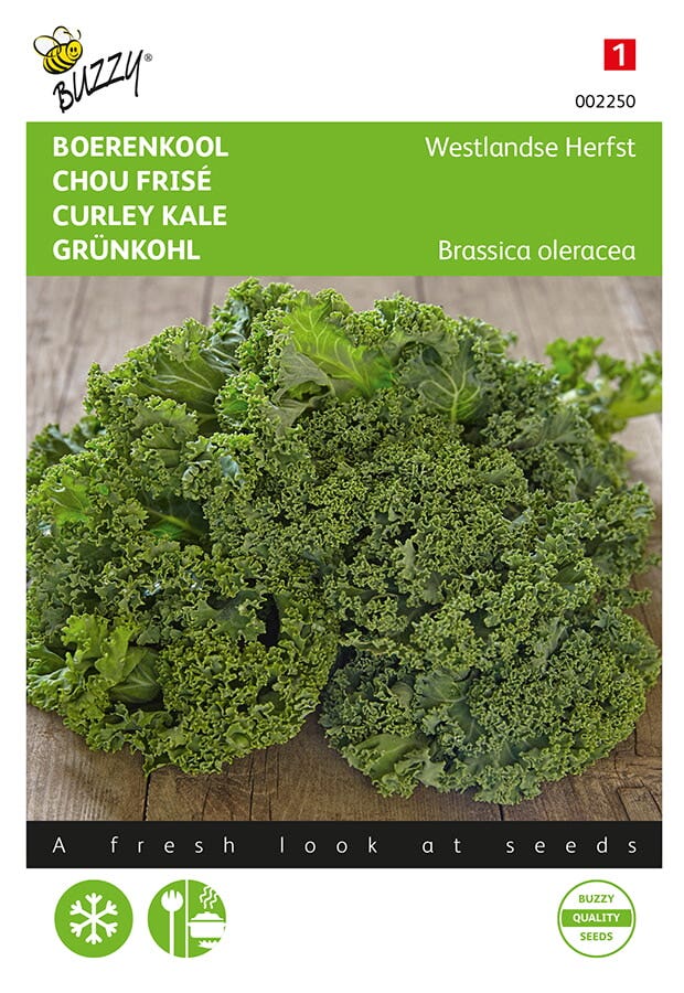 Brassica oleracea 'Westlandse Herfst'