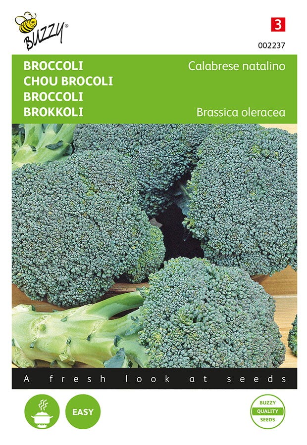 Broccoli