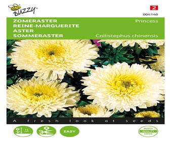 Zomeraster Prinses (Callistephus chinensis 'goudgeel')