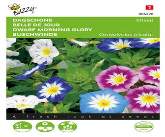 Convolvulus, Dagschone gemengd