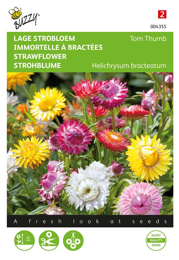 Strobloem