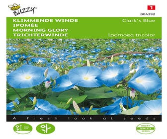 Klimmende winde (Ipomoea tricolor 'Clark’s Blue')