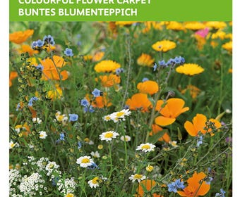 Kleurrijk bloementapijt Annual