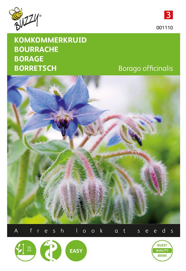 Borago officinalis
