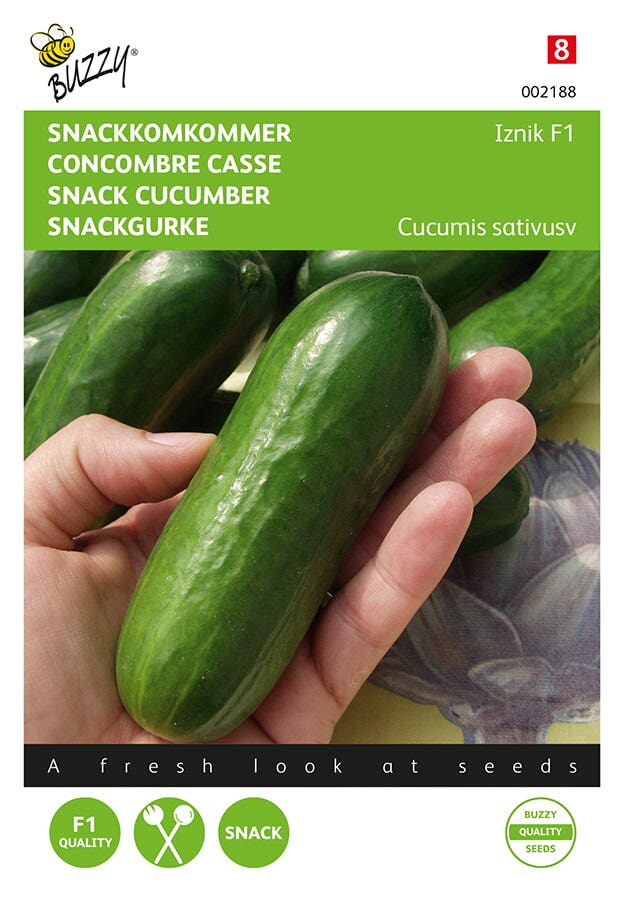 Komkommer