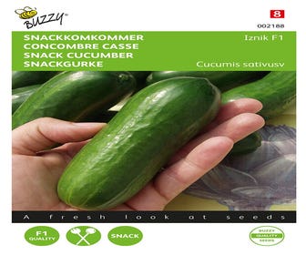 Komkommers Snack Iznik F1