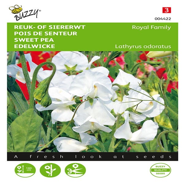 Lathyrus, Reuk- of siererwt Royal Family Wit