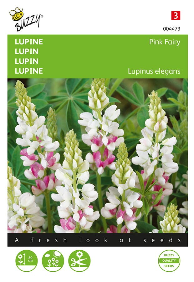 Lupine