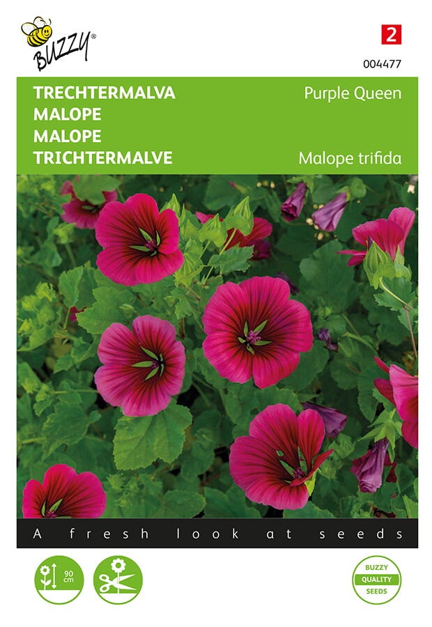 Trechtermalva