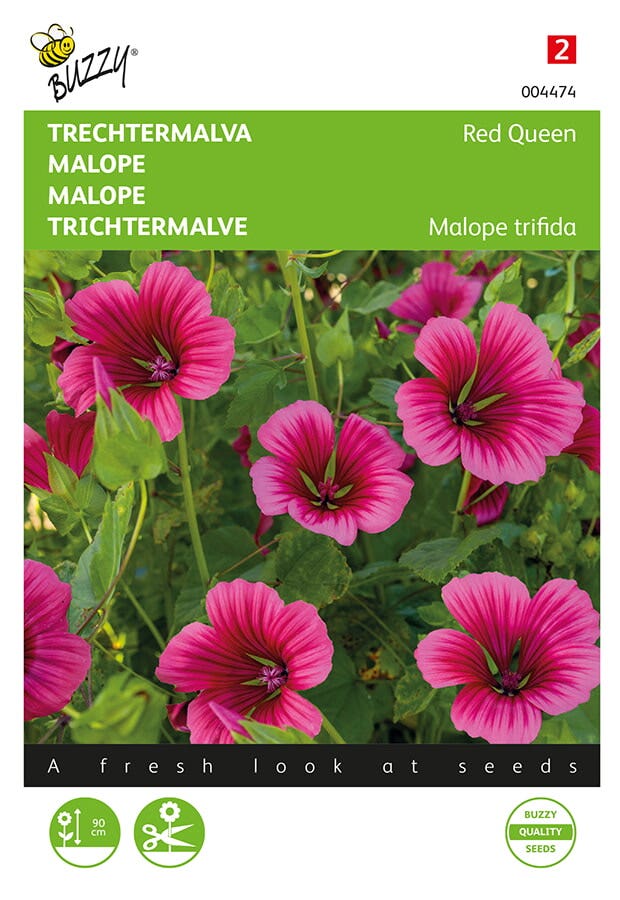 Trechtermalva