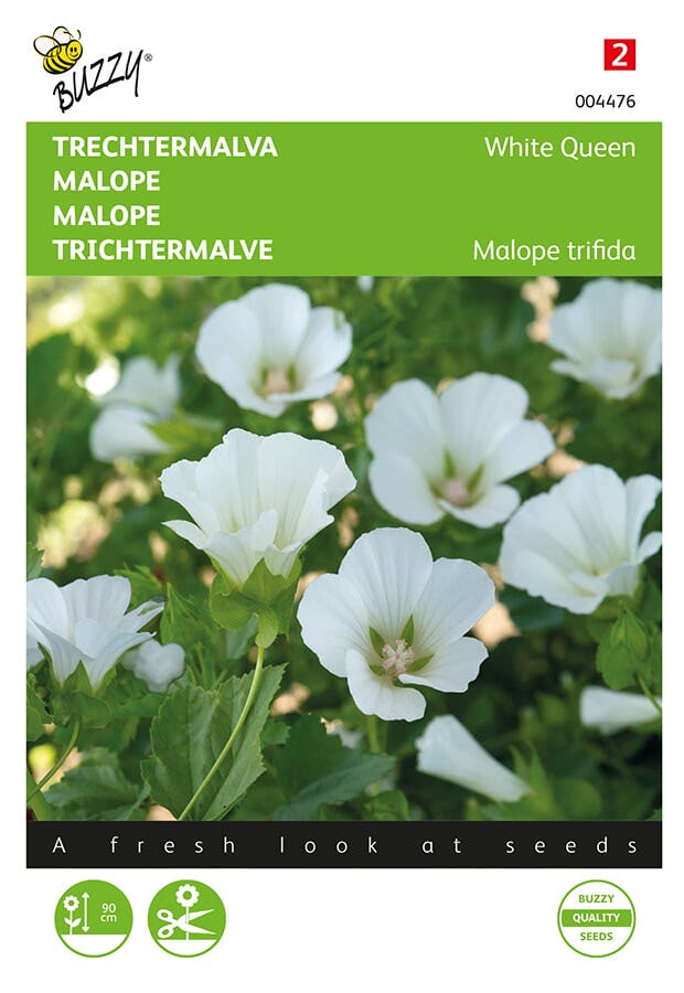 Trechtermalva
