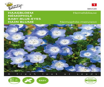 Haagbloem (Nemophila menziesii 'Hemelsblauw')