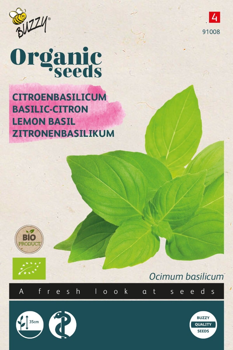 Basilicum