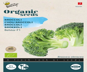Broccoli Belstar F1 (BIO)