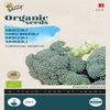 Broccoli Calabrese natalino (BIO)