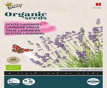Echte Lavendel ( Lavandula 'angustifolia') (BIO)