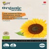 Lage zonnebloem (Helianthus 'Sunspot') (BIO)