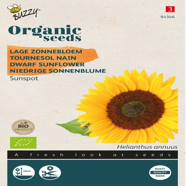 Lage zonnebloem (Helianthus 'Sunspot') (BIO)