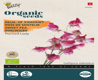 Reuk-of siererwt (Lathyrus odoratus 'Painted Lady')(BIO)