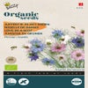 Juffertje-in-het groen (Nigella 'Persian Jewel') (BIO)