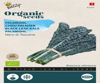 Palmkool Nero di Toscana (BIO)