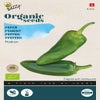 Peper Padron (BIO)