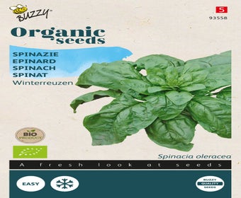 Spinazie Winterreuzen (BIO)
