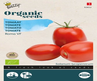 Tomaten Roma VF (BIO)