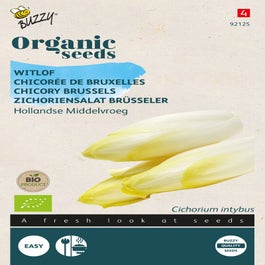 Graines De Chicorée Witloof Bio Germisem - 2 G - Pour Forçage Traditionnel - Légumes Feuilles