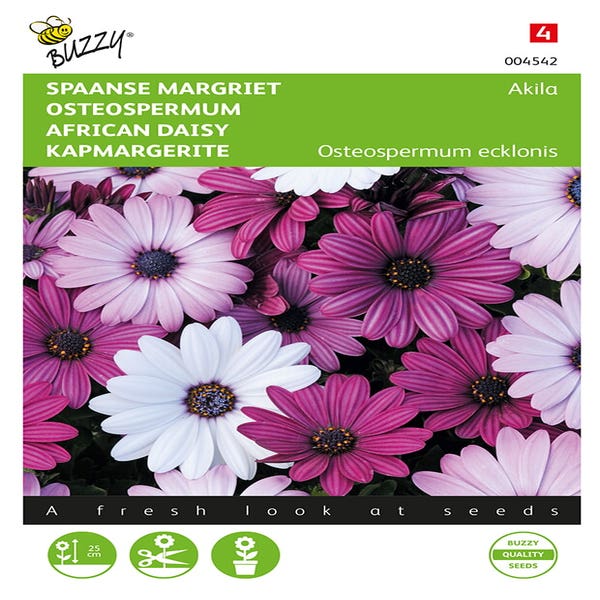 Spaanse Margriet Akila mix