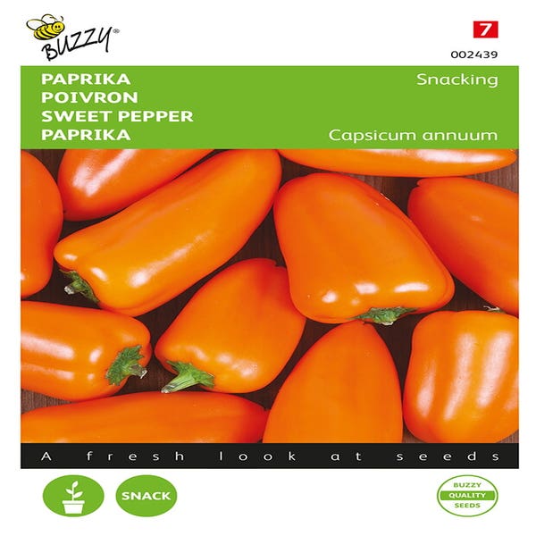 Paprika Snacking mini Oranje Naranja